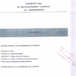 premiere-page-du-rapport-du-commissaire-aux-comptes-pour-lexercice-clos-qu-31-decembre-2011
