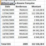 NEXTHOPE récapitulatif des envois 2009 appuyés par des bordereaux EX1 délivrés par la douane française