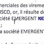 jugement appel disant que CISCO à nié l’existence de EMERGENT comme partenaire autorisé à distribué des produits CISCO à Madagascar