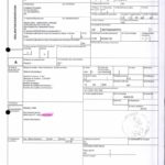 NEXTHOPE RANARISON Tsilavo Dossier EX1 2009 preuve douane française_Page7